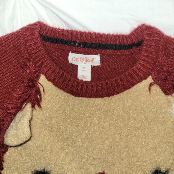 EUC Boys Cat & Jack sweater | Soft lion sweater - Picture 3 of 4